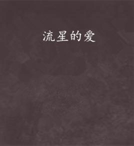 流星的愛 流星的愛