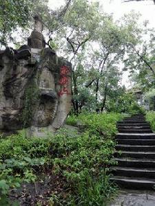 龍鳳山公園 龍鳳山公園