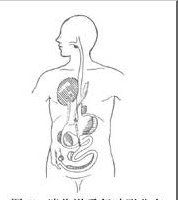 新生兒消化道重複症 新生兒消化道重複症