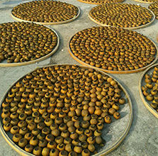 新會實美柑普茶加工廠 新會實美柑普茶加工廠