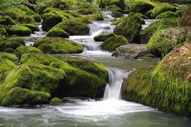 小溪[慶元縣景寧縣自然景觀]