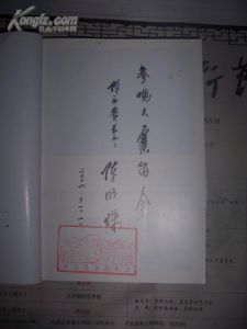 《扎白毛巾的副總理》3