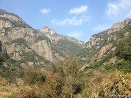 永嘉梅園勝美尖 永嘉梅園勝美尖