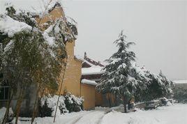 浙江紫竹林 浙江紫竹林