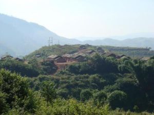 兩棵樹村 兩棵樹村