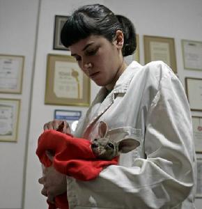 （圖）袋鼠狄佳娜