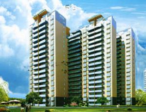 桔園經典 桔園經典