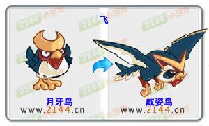 少年精靈王威姿鳥進化圖