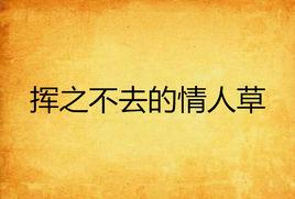 揮之不去的情人草