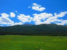 新疆哈密天山國家森林公園 新疆哈密天山國家森林公園