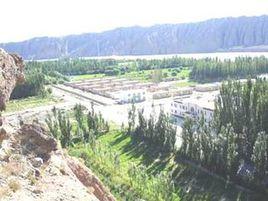 莎車農場 莎車農場