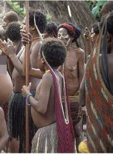 巴布亞人 巴布亞人