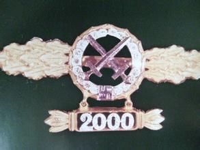 夜間作戰勛飾 夜間作戰勛飾