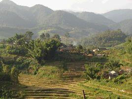 大東子自然村 大東子自然村