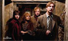 op[鳳凰社(OrderofPhoenix）]