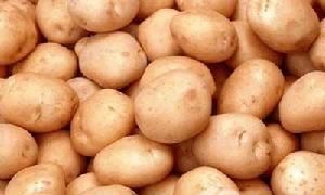 含有胺基酸的食物