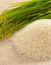 越光水稻和大米