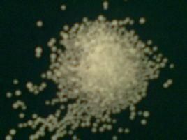 可發性聚苯乙烯 可發性聚苯乙烯