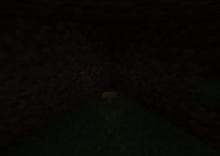 發光的棕蘑菇(圖片放大)