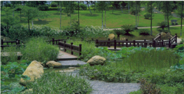 嶺南植物公園 嶺南植物公園