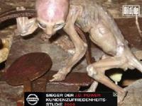 外星人寶寶 外星人寶寶