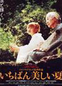 最美麗的夏天[日本2001年John Williams執導電影]