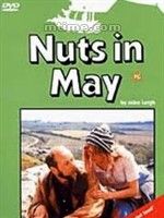 《五月迷狂》 《五月迷狂》