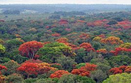 奧扎拉國家公園