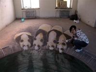 街頭立體畫 街頭立體畫