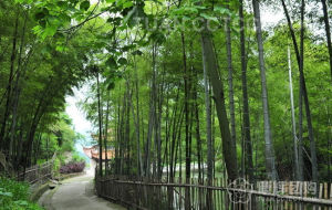 聖旅竹業健康生態館