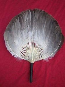 洪湖羽毛扇 洪湖羽毛扇