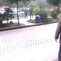 榮升錦瑟華年 榮升錦瑟華年