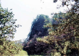 放馬灘森林公園 放馬灘森林公園