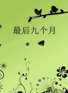 最後九個月 最後九個月