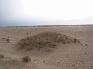 （圖）熱帶半乾旱氣候