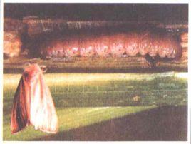 水稻大螟 水稻大螟