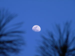 新月[自然現象]