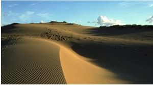 鳥取砂丘 鳥取砂丘