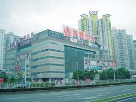 社會化理論 社會化理論