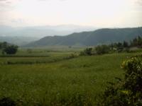 海落山自然村 海落山自然村