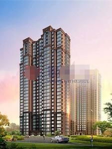 石家莊華林國際 石家莊華林國際