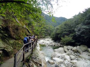 天堂寨白馬大峽谷 天堂寨白馬大峽谷