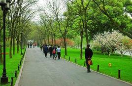 六橋煙柳 六橋煙柳