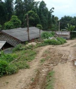 膠廠自然村 膠廠自然村