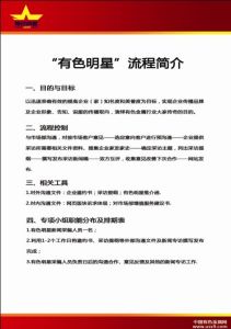 有色明星流程推介