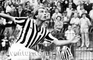 切斯特米爾·維茨帕萊克 切斯特米爾·維茨帕萊克