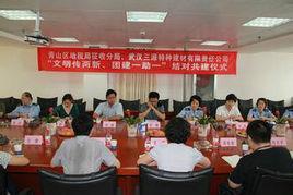 武漢市青山區地方稅務局 武漢市青山區地方稅務局