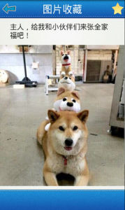 笑得肚子疼 笑得肚子疼