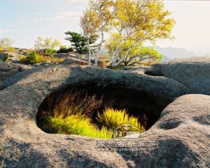 大青山自然保護區