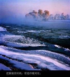 鄒毅[四川省達州市渠縣人力資源和社會保障局局長]